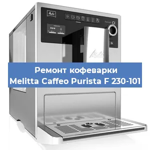 Ремонт кофемолки на кофемашине Melitta Caffeo Purista F 230-101 в Красноярске